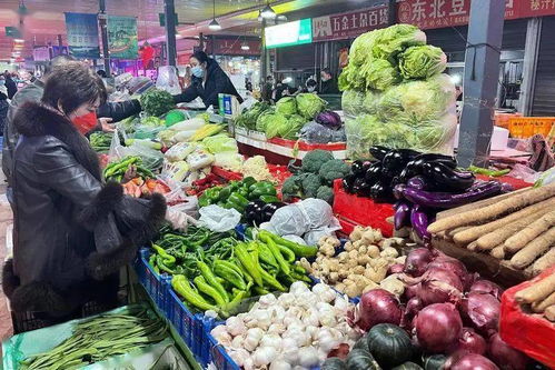 粮 油 菜 肉 蛋 奶 充足